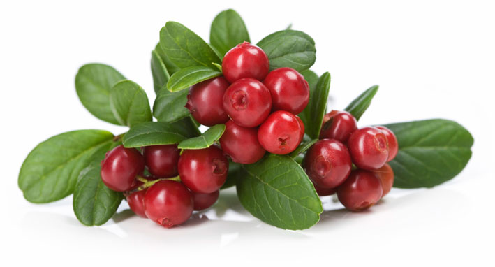 arándano-rojo-trucos-cistitis
