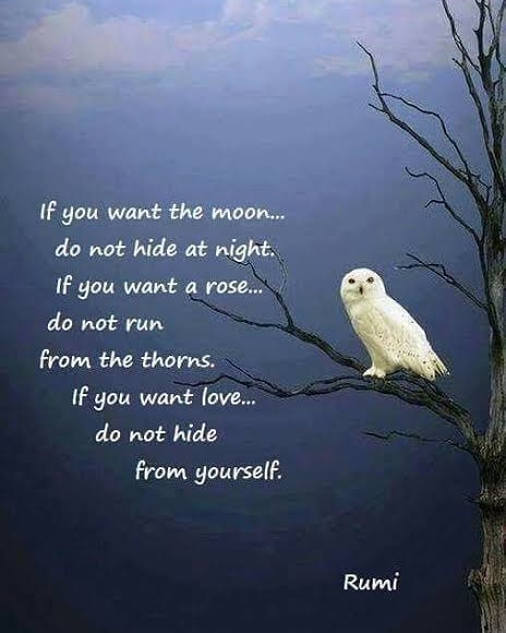 33 Rumi Quotes That Will Change Your Life - PART 2