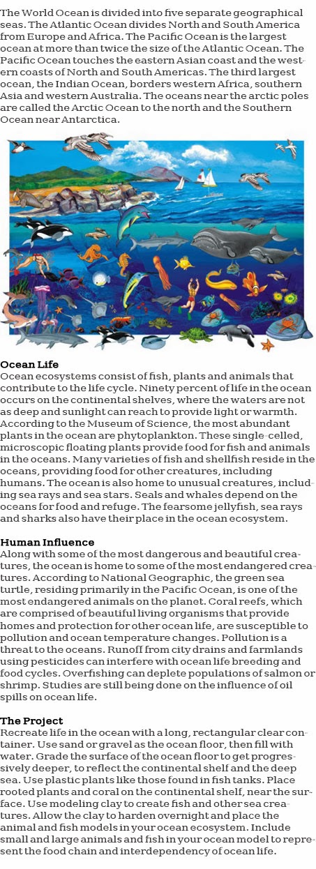 Ocean ecosystem for kids