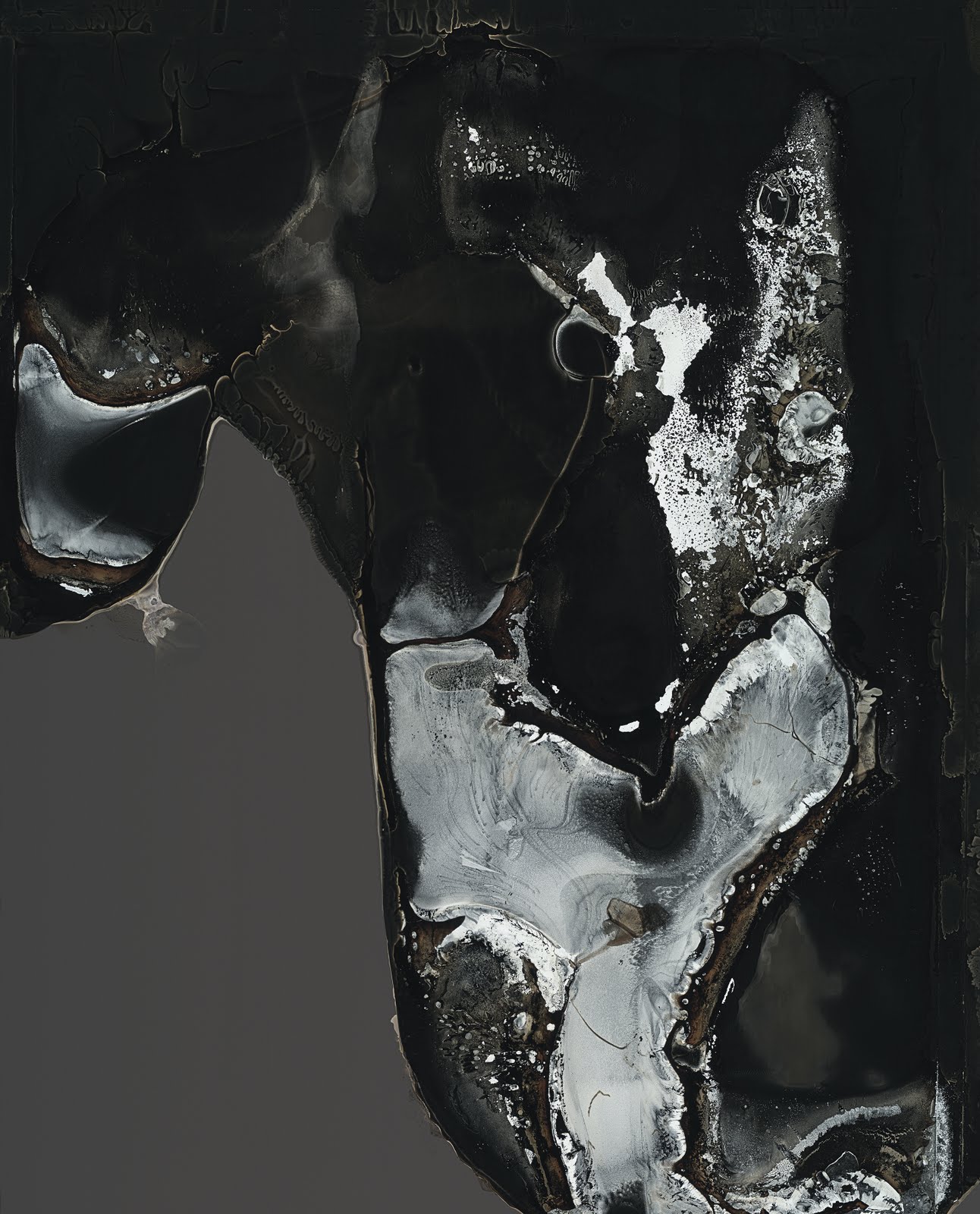 Antithesis 2009 05 picture