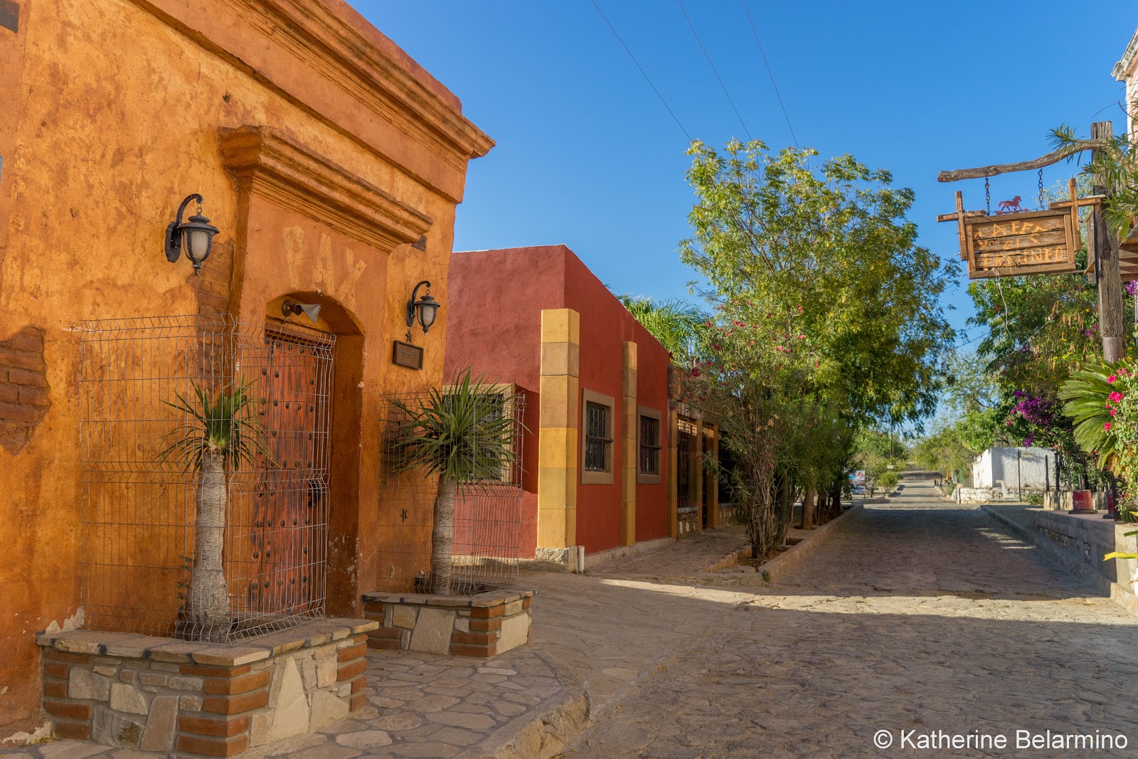 10 Amazing Things to Do in La Paz Mexico Travel the World