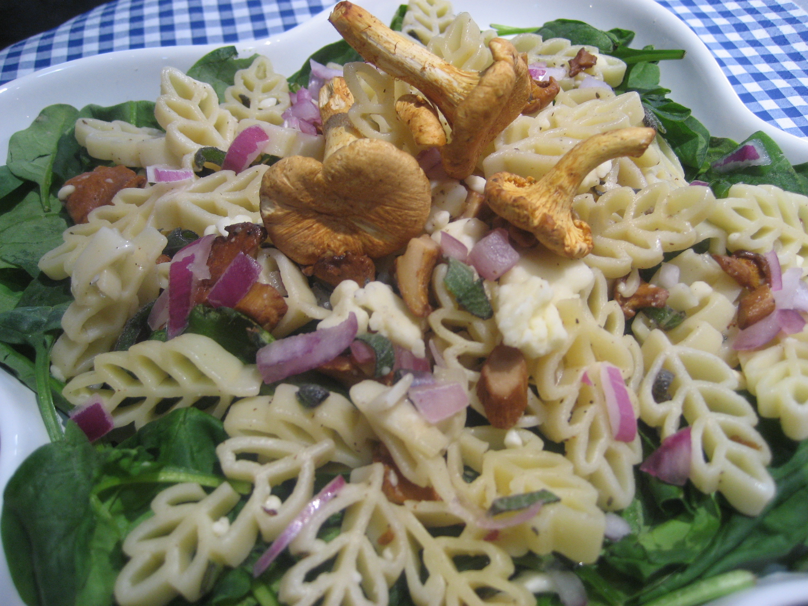 Marie est dans son assiette! Salade de pâtes aux chanterelles des bois