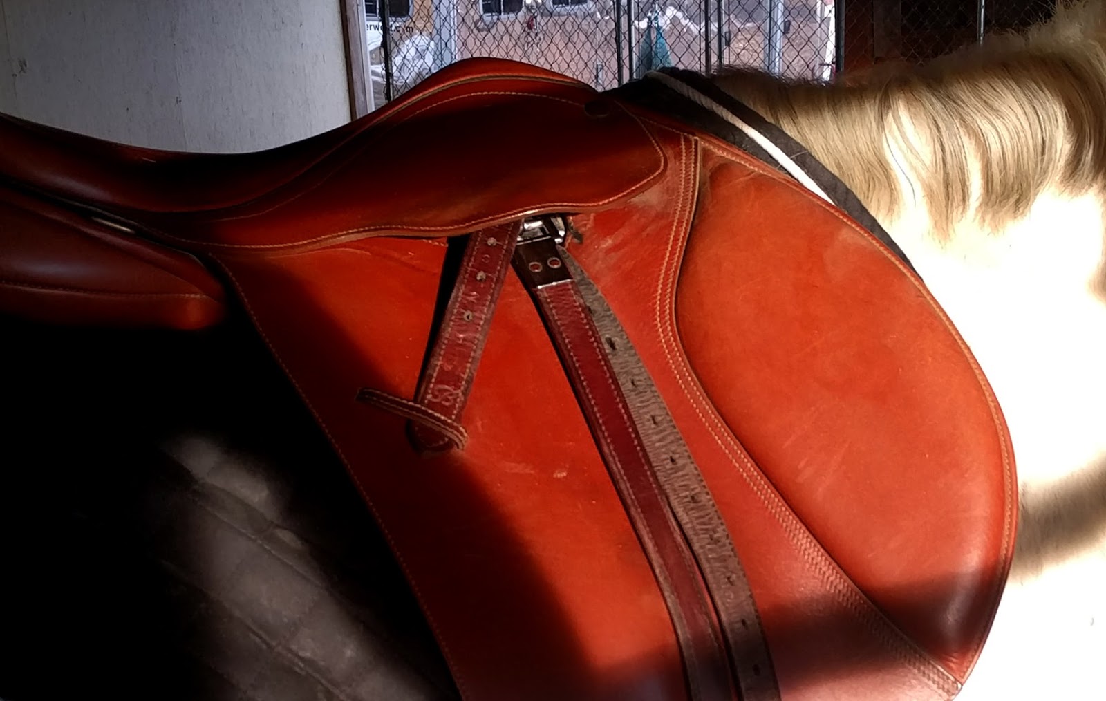 Bit of Honey Training Saddle Fitting How to Know When the Horse Says No