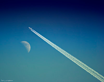 Fly Me to the Moon