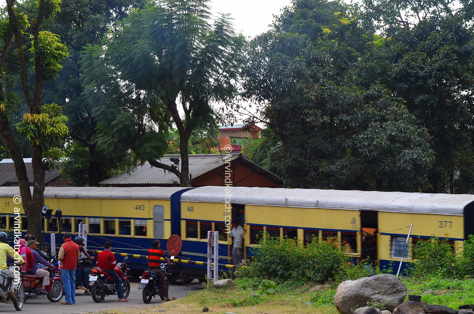 Beautiful Kangra Valley Toy Train (Pictures)