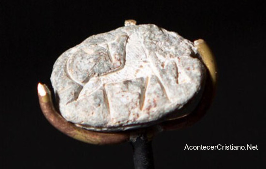 Amuleto escarabajo egipcio confirma relato del libro de Josué