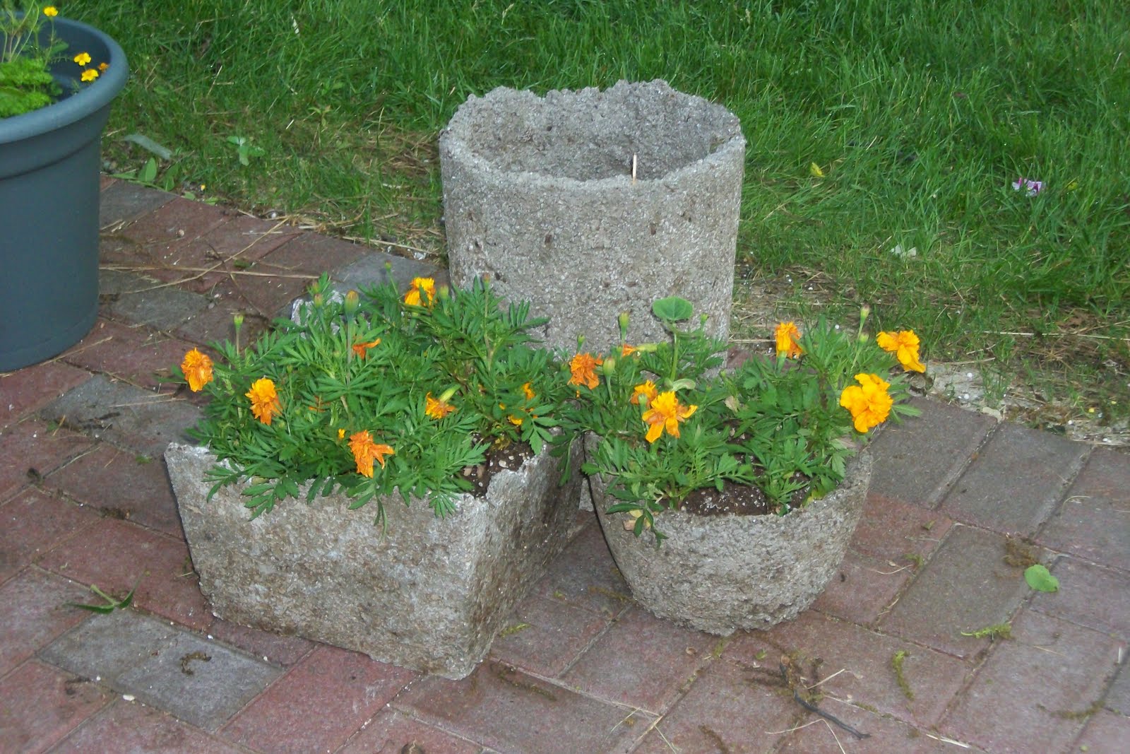 Mother&rsquo;s Kitchen: Hypertufa