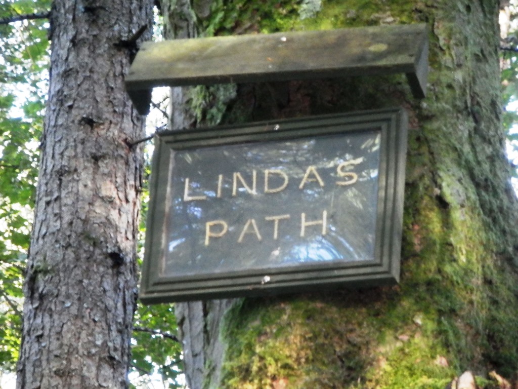 My Daily Walk Gillies Hill Woods, Cambusbarron