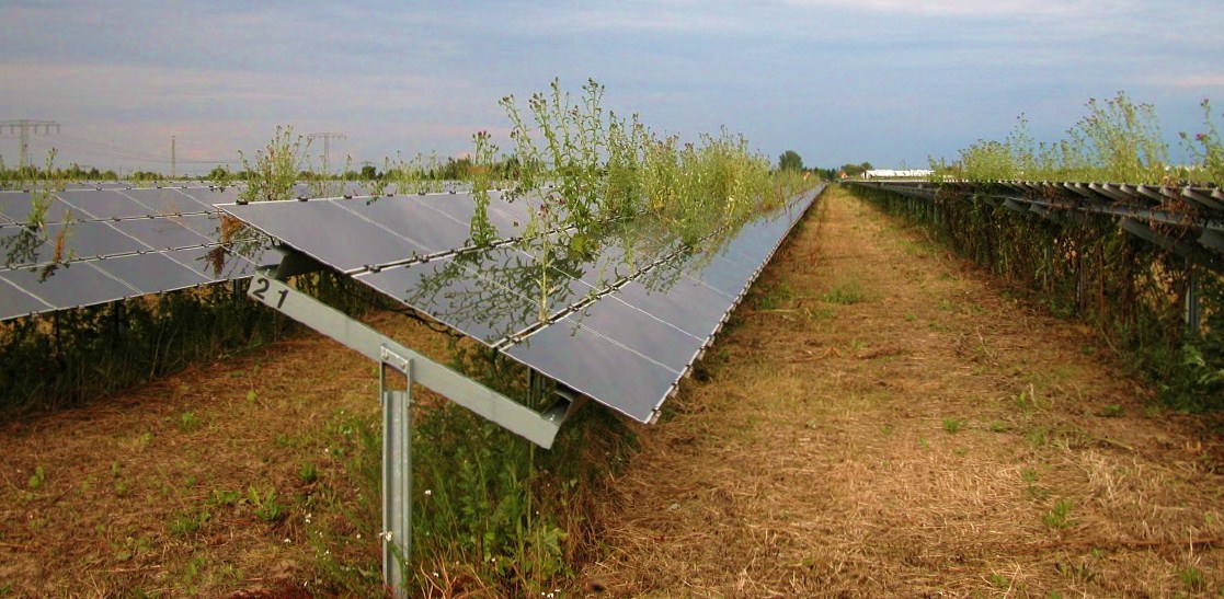 Blog Freitag ǀ Abstand Und Distanz Der Freitag