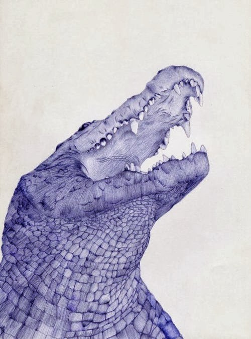 04-Crocodile-Sarah-Esteje-ABADIDABOU-Hyper-realistic-Ballpoint-Pen-Animals-www-designstack-co