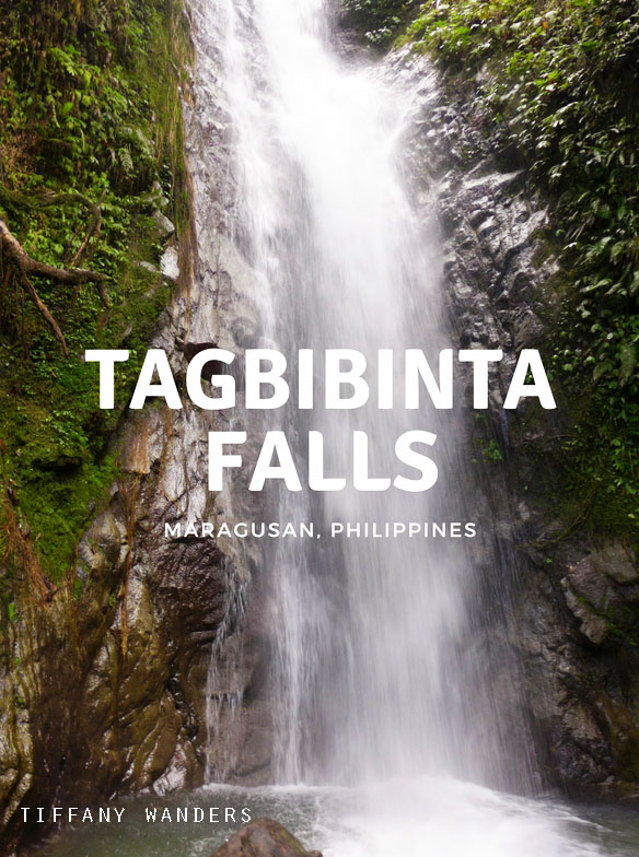 Maragusan Escapade: Tagbibinta Falls