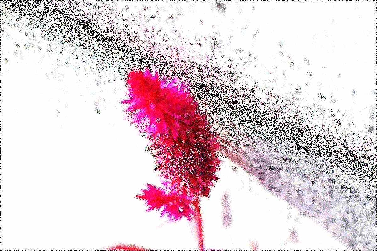 순천 조계산 선암사 순천 조계산 선암사