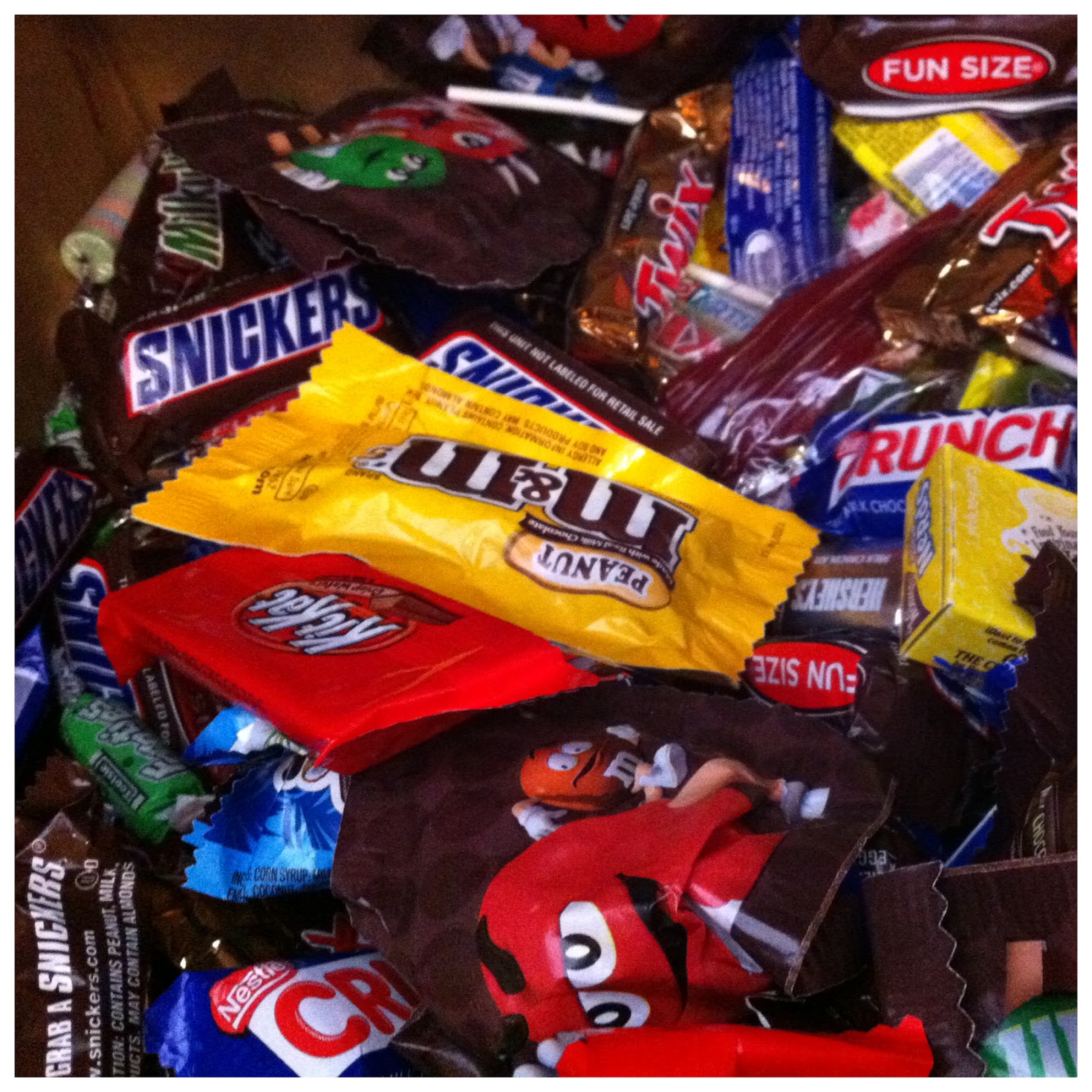 Olive Juice & Elephant Shoes Day 302