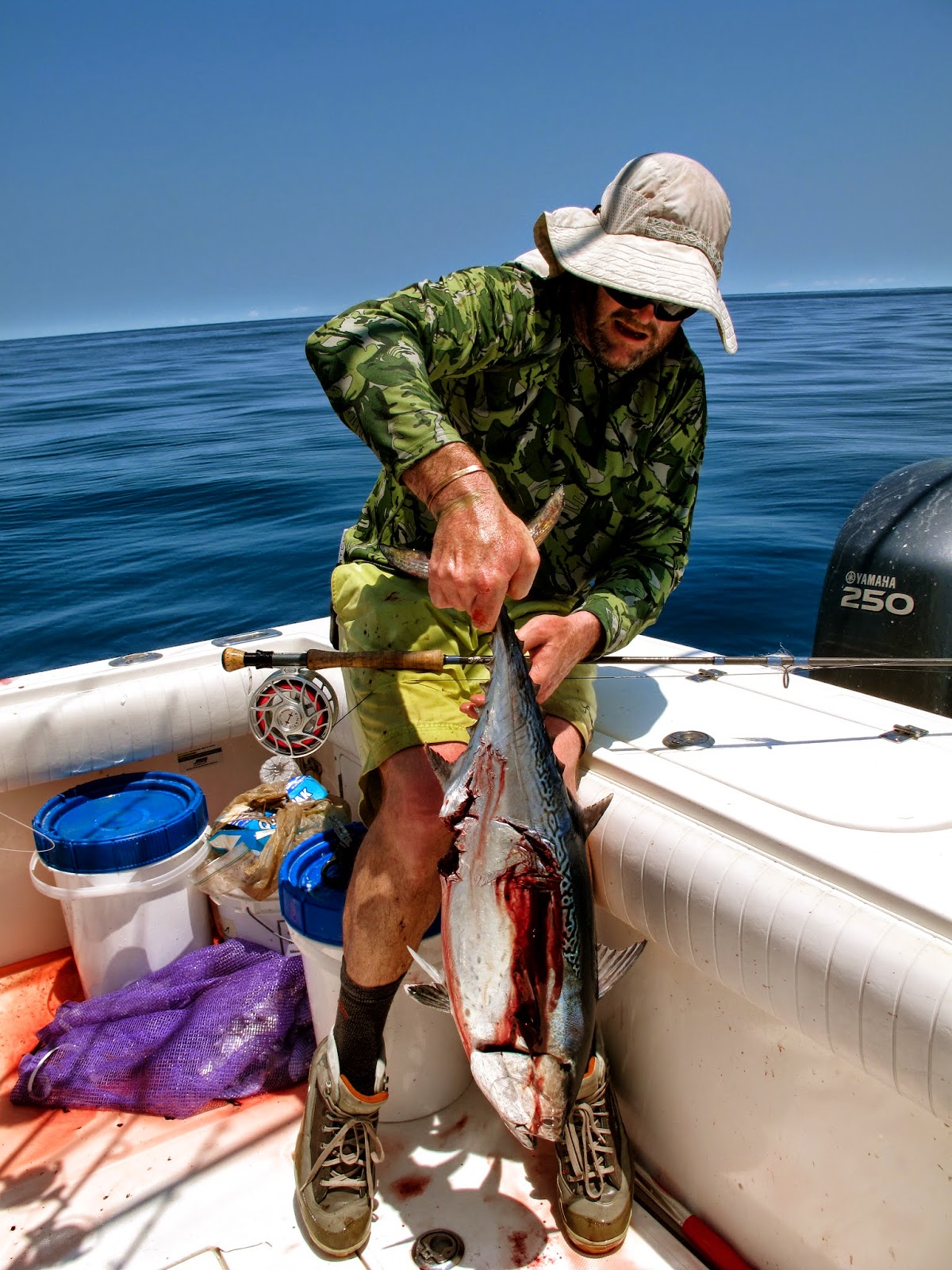 Boston Fly Fishing and Report Fly Fishing Florida Off Shore