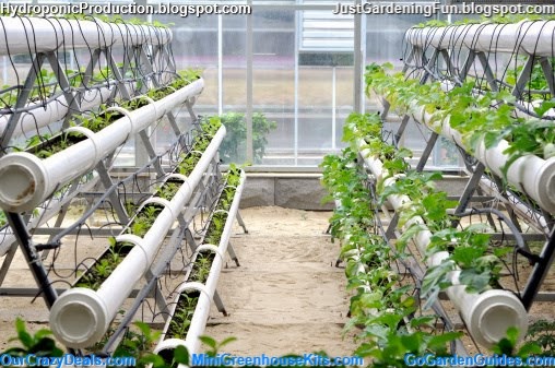 Modern Agriculture of Hydroponic Vegetable_Green_House Indoor Gardening System