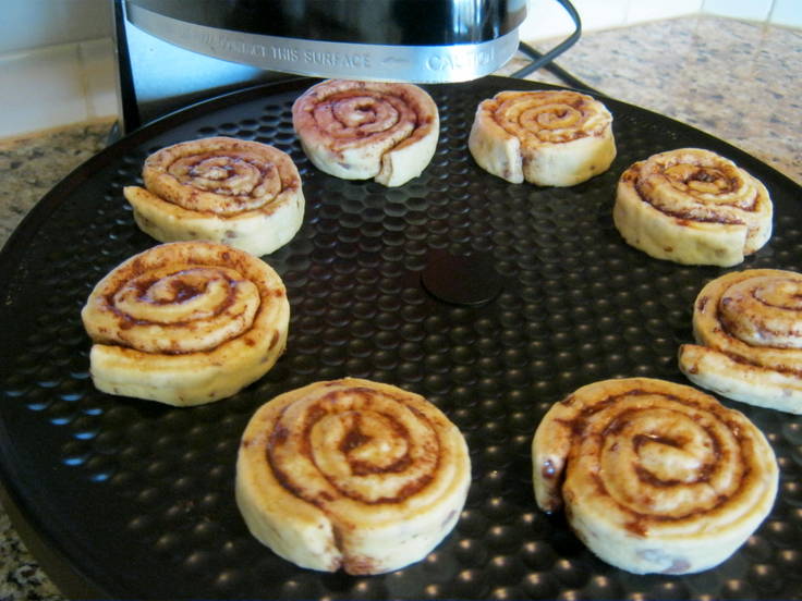 Presto Pizzazz Plus Rotating Oven Review