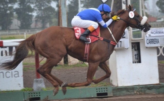 Lencelot corre hoy el Clásico Ignacio Correas en La Plata Lencelot La Plata