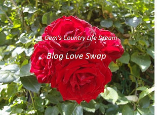 Blog love swap