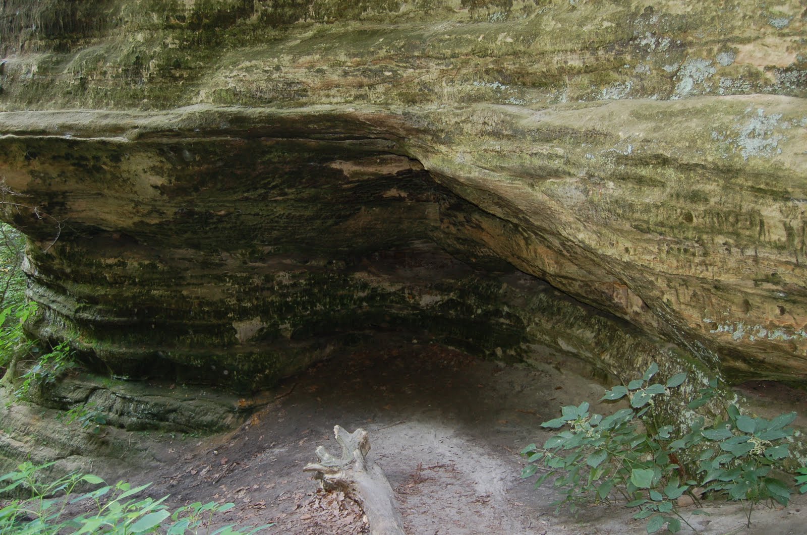 Domestic Observances: Starved Rock