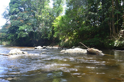 Wind Cave, Clear Water Cave, Lang Cafe dan Deer Cave Air mengalir deras