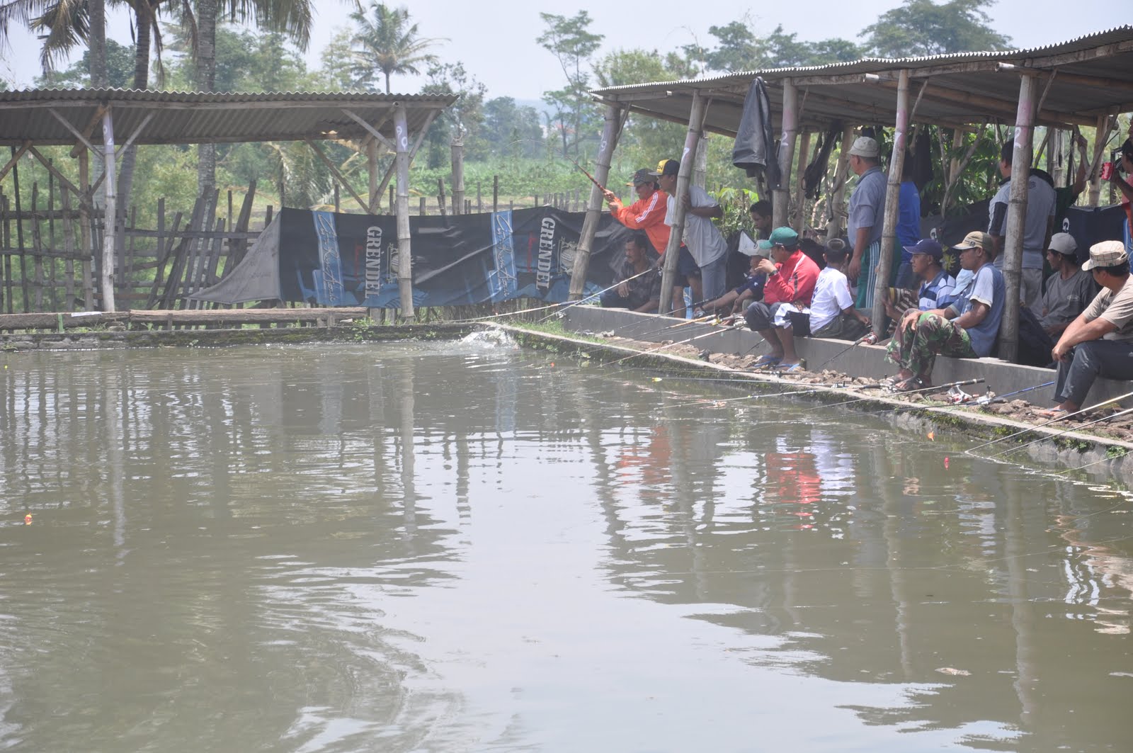 Cara Mancing Ikan Mas Di Kolam Hobi Mancing cara-mancing-ikan-mas-di-kolam-hobi-mancing