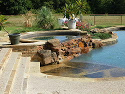 pool swimming around rocks artificial garden landscape flowers