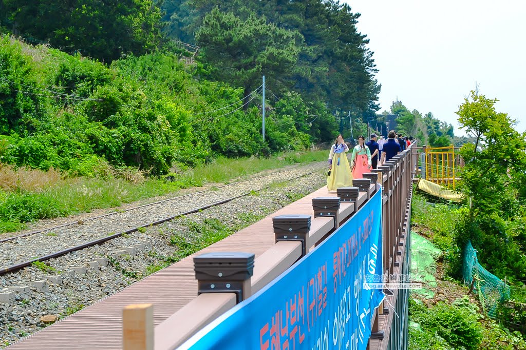 尾浦鐵路,釜山必玩景點,青沙浦紅白燈塔,松亭海水浴場
