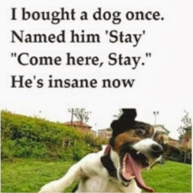 Top 25 Funny Instagram Pics Posts | Cute Instagram Quotes