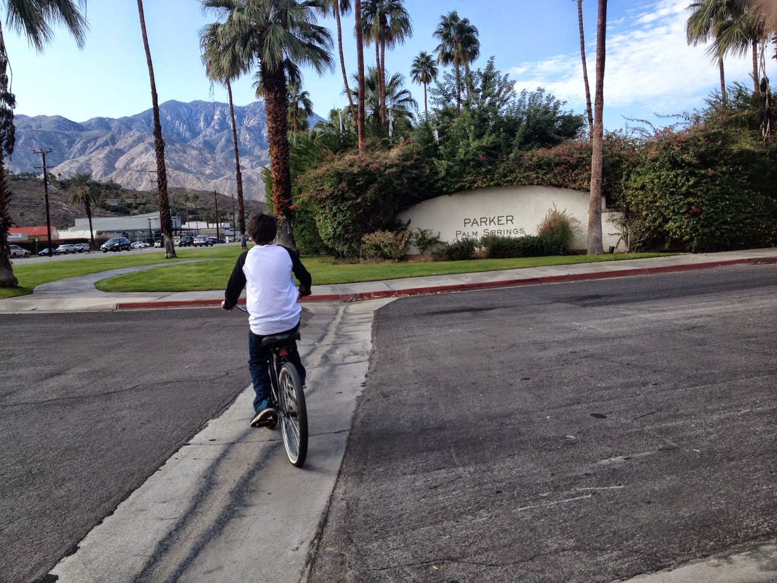 THE pepper EXPRESS 2015 My Year in Review