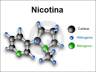 Nicotina
