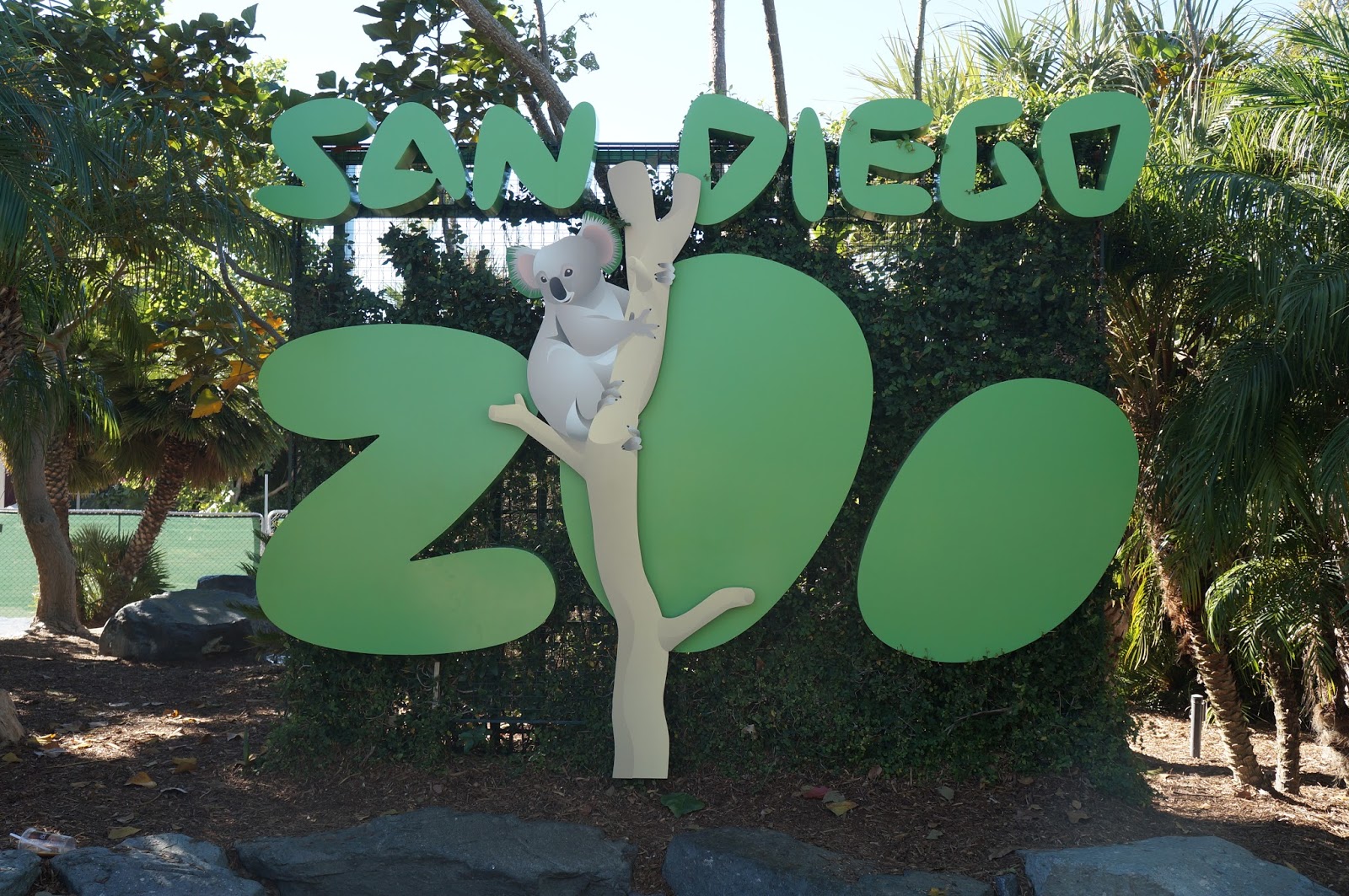 Are Dogs Allowed In San Diego Zoo