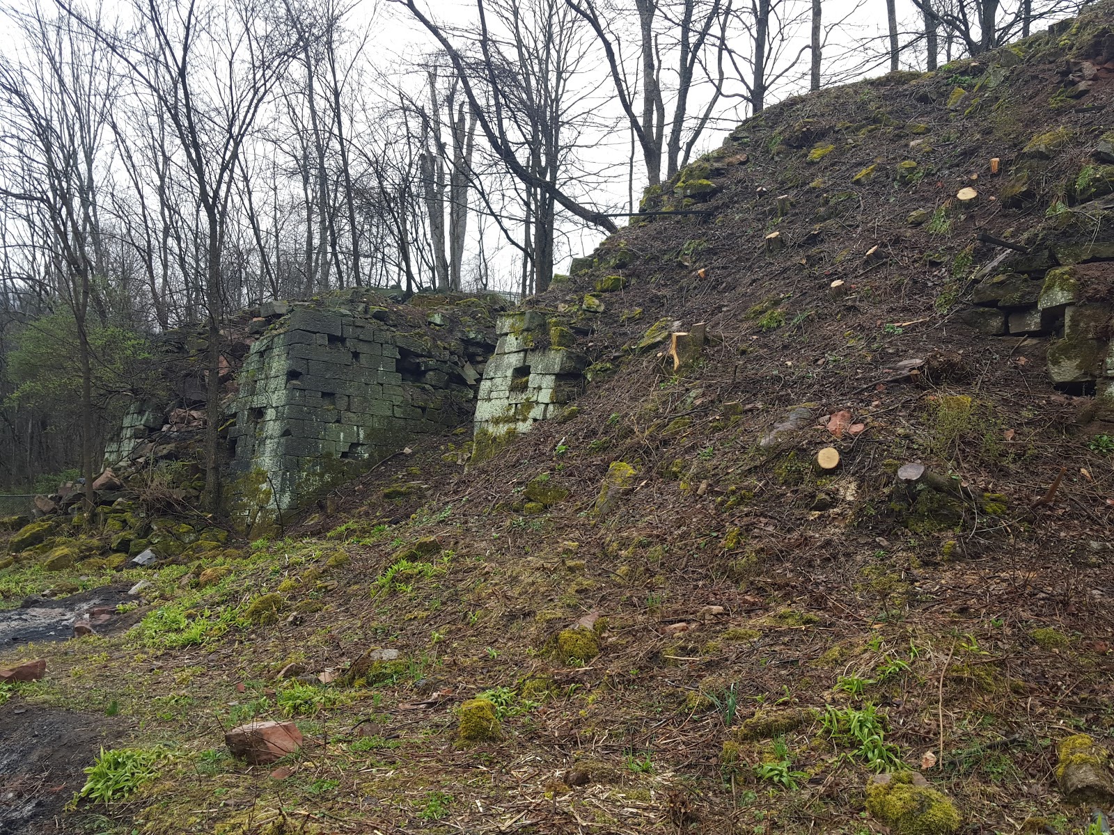 Old Industry of Southwestern Pennsylvania Brady's Bend Iron Works