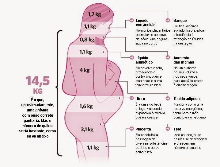 Dieta saudavel para gestante