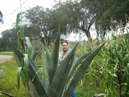 De camino a Santo Domingo Atlapaleca