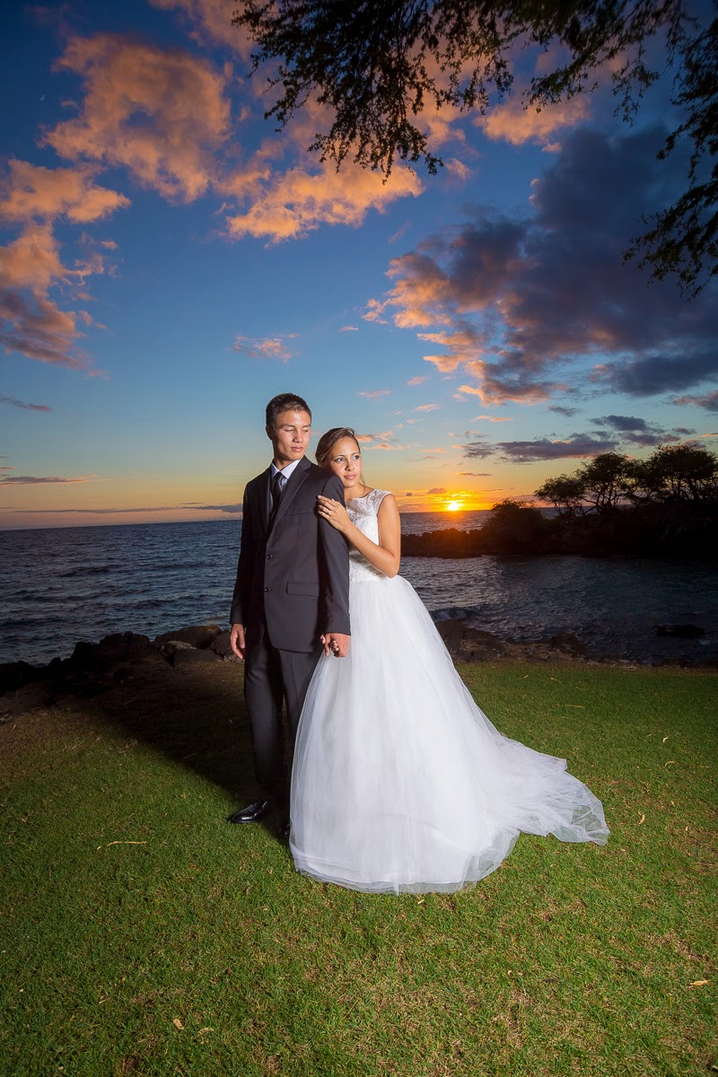 Hawaii wedding cost picture