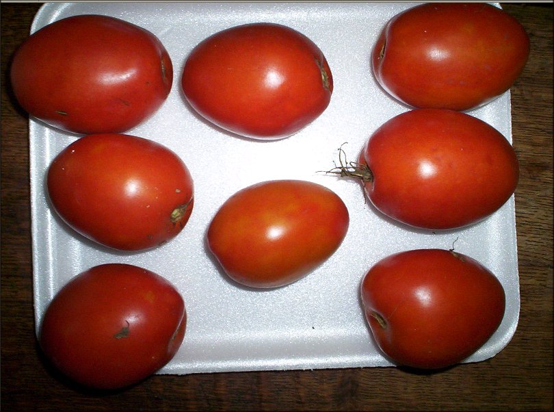 Is Osmocote Good For Tomatoes Osmocote Smart Release Indoor/Outdoor Plant Food / We had some