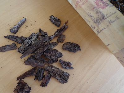 Entre anhelos y caprichos: Iniciándome en la jardinería vertical