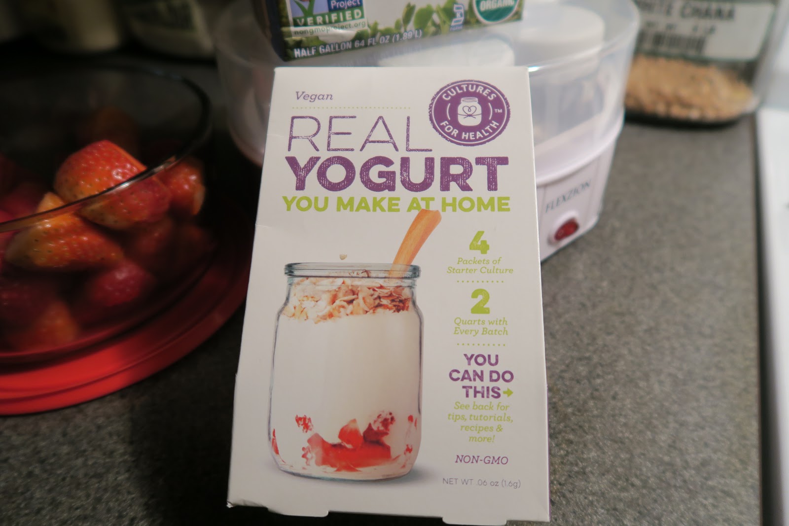 Theveganlicious Make Perfect Non Dairy Greek Yogurt Everytime!