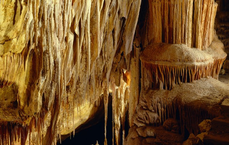 Stalagmite crystal image