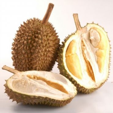 Mengenal Manfaat Dari Buah Durian Blog Cafeiin