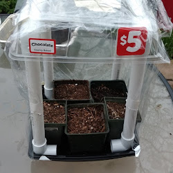 greenhouse mini seed starting machines start seeds