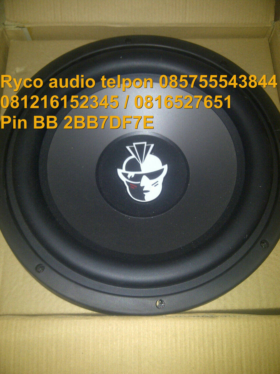 Subwoofer 12 inch double voice coil