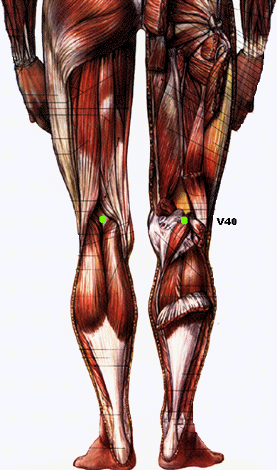 dolor latter rodilla niños