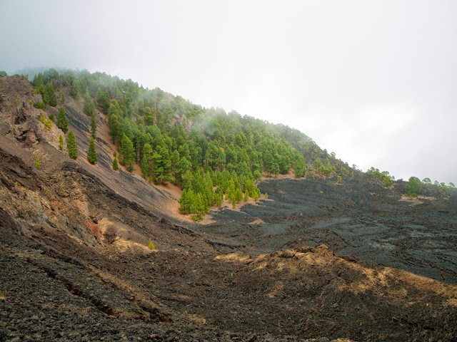 Ruta de los Volcanes de La Palma