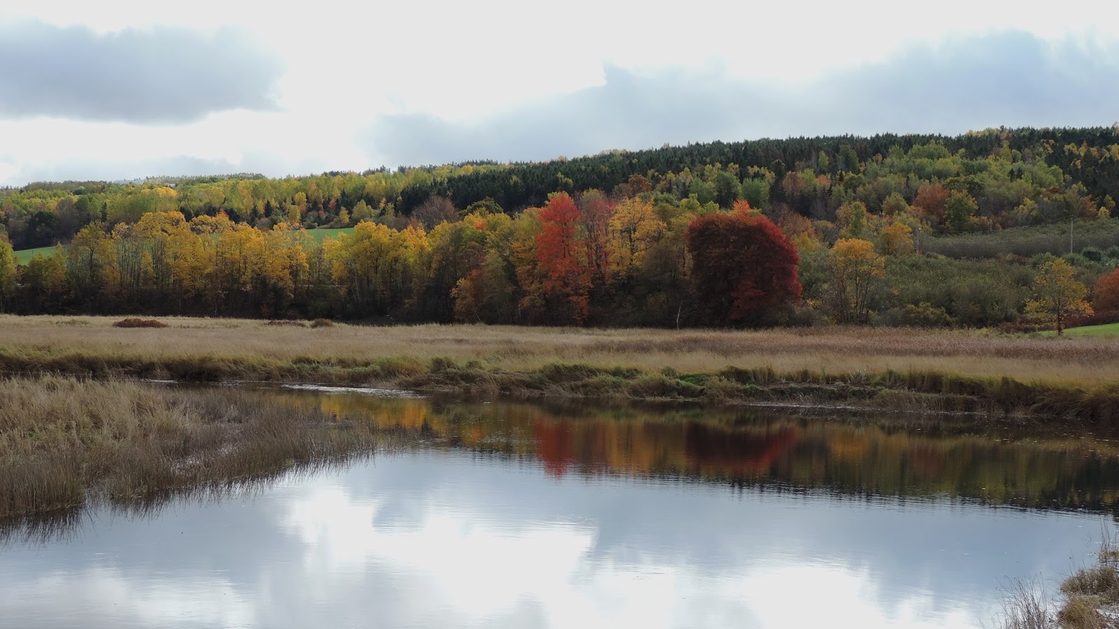 Travel with Kevin and Ruth Walk around Gaspereau Valley, Nova Scotia