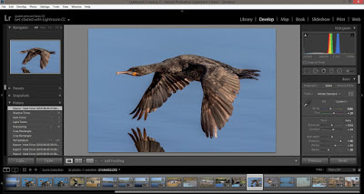 Photoshop Lightroom Classic CC PC Development Module Interface Photoshop Lightroom Classic CC PC Development Module Interface