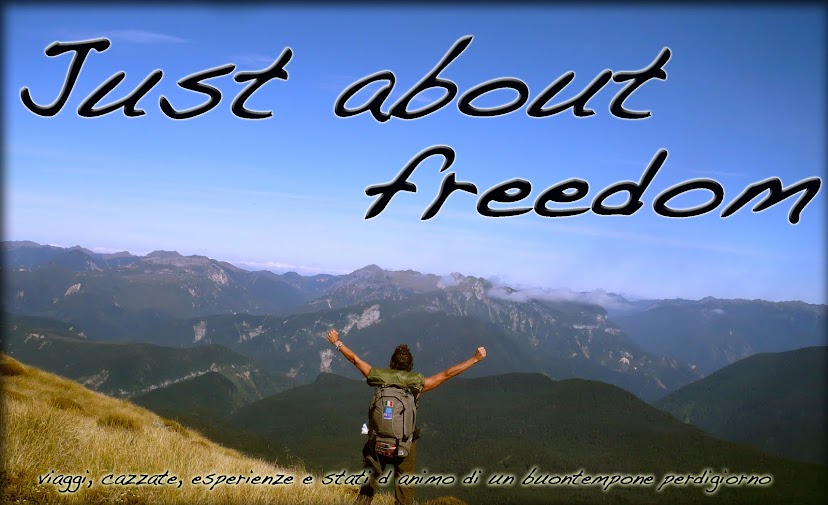 Just about freedom