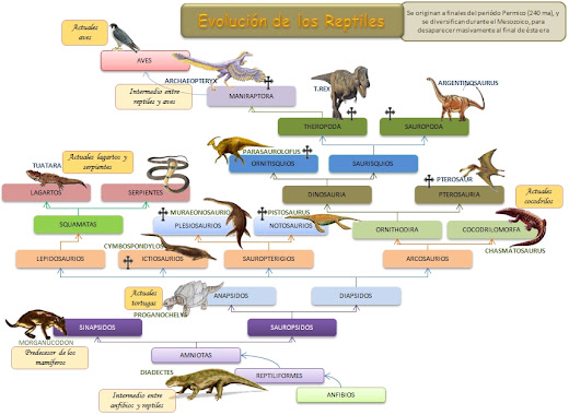 pruebas-y-pr-cticas-hojas-dispersas-reptiles