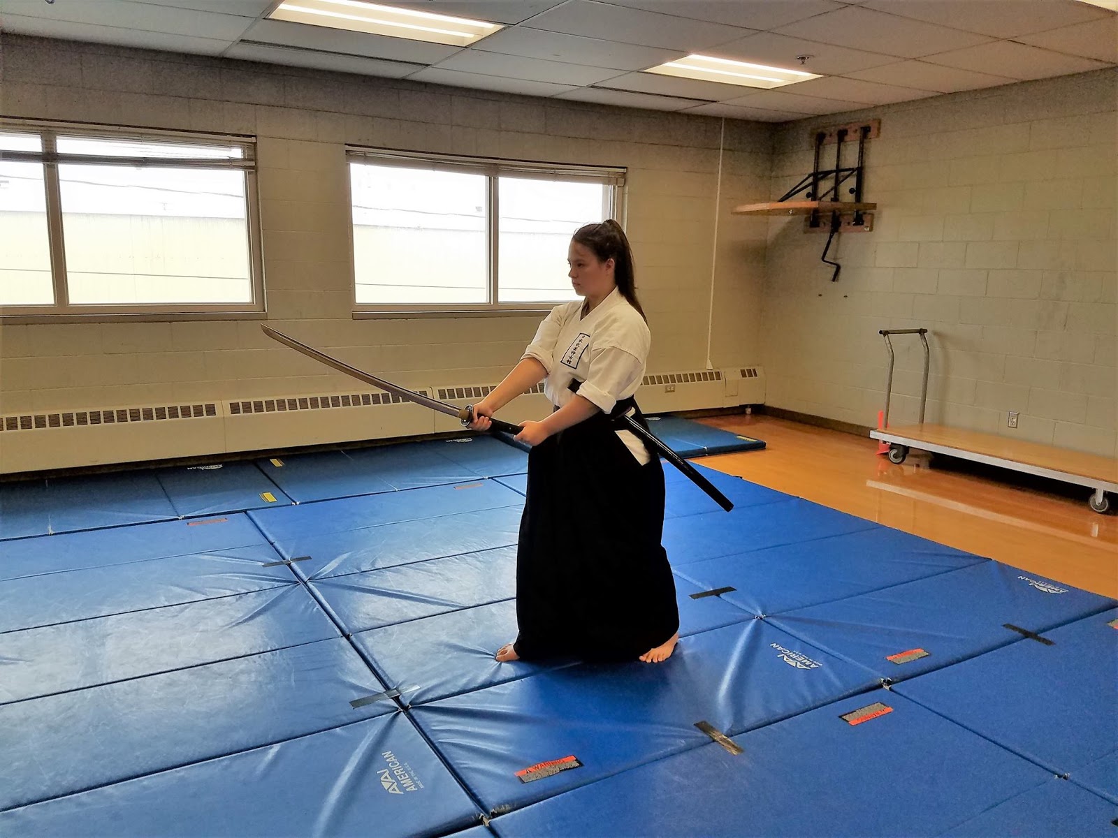 Alaska Children's Karate Aikido Kyudo 2017