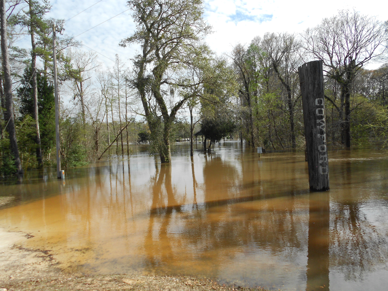 Sandcastle Momma Choctawhatchee River Flooding